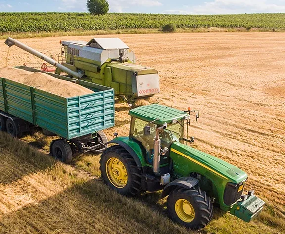 We grow fresh, organic produce using clean methods that protect nature, healthy food.